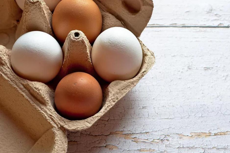 鸽子蛋鹌鹑蛋鸡蛋鸭蛋哪个营养高,鸡蛋鸭蛋鹅蛋鹌鹑蛋营养成分表