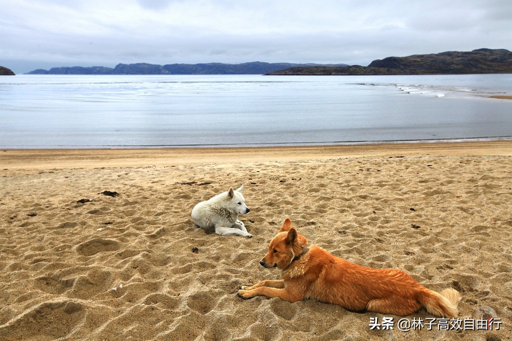 俄罗斯一月追极光攻略,俄罗斯追极光的地方