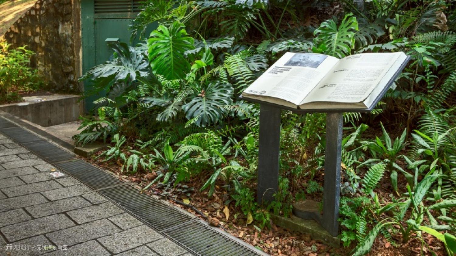 新加坡花园游玩攻略,新加坡自由行旅游指南