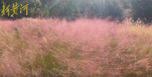济南美景打卡地秋冬,济南冬天小众宝藏旅行地