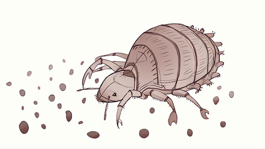 男子腹部痒,男子腹痛难忍夹出8条活虫