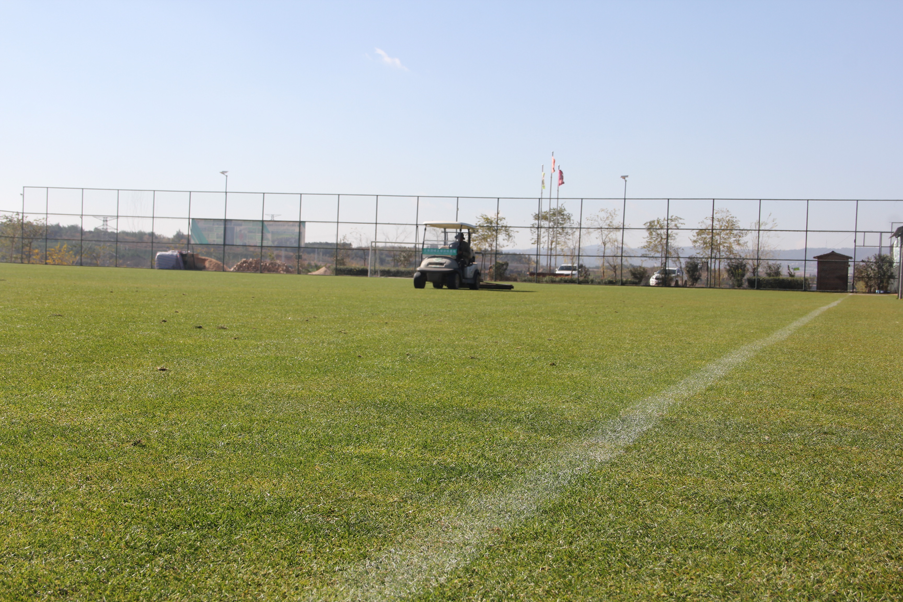 夏令营之梦,足球夏令营让孩子爱上足球