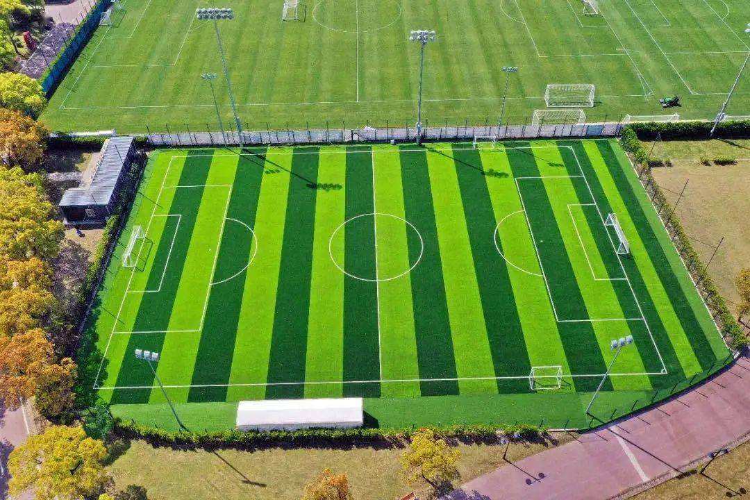 19届杭州亚运会橄榄球排名,第19届杭州亚运会有哪些项目