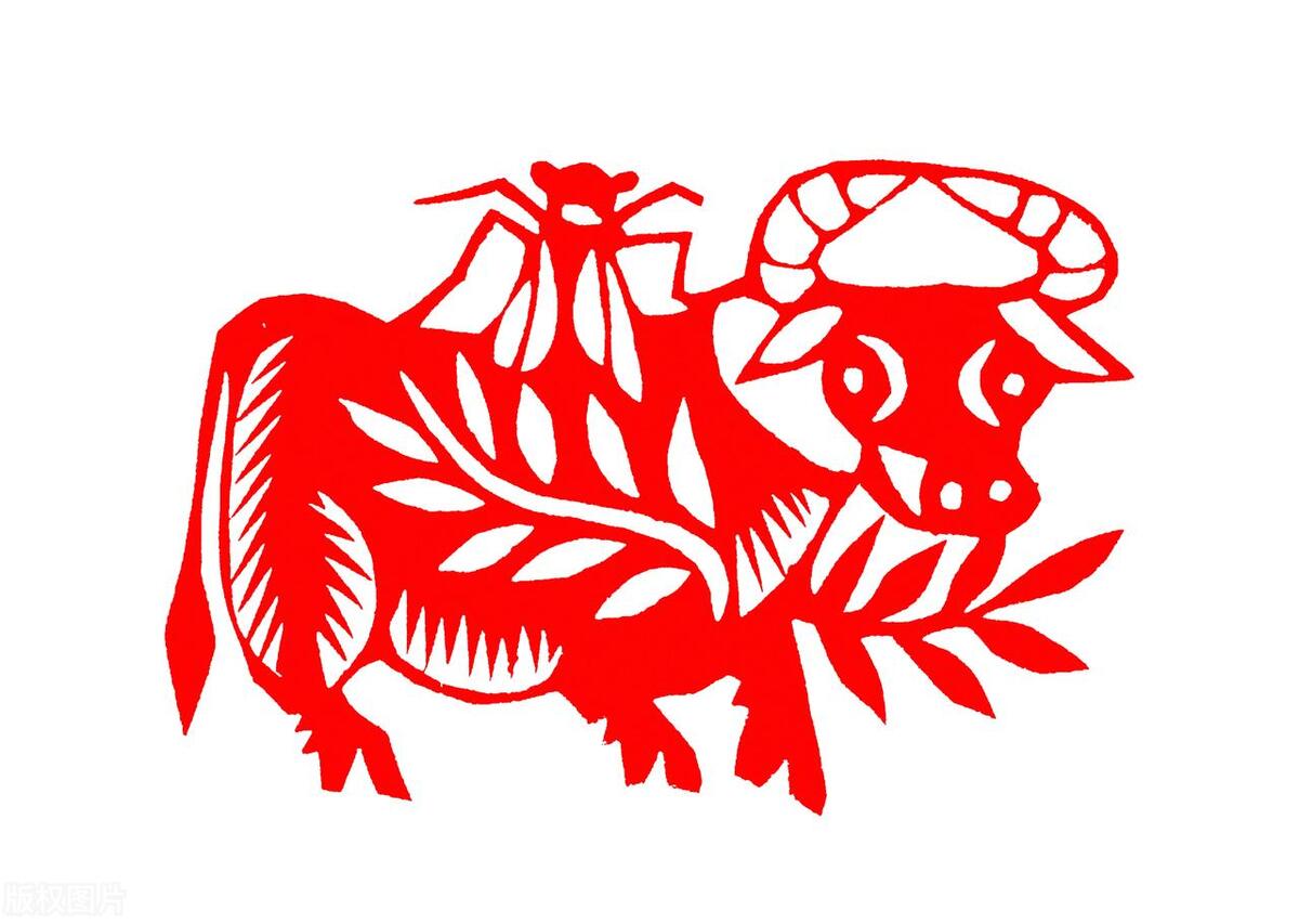 生肖牛2024每个月运势,生肖牛2023年下半年运势