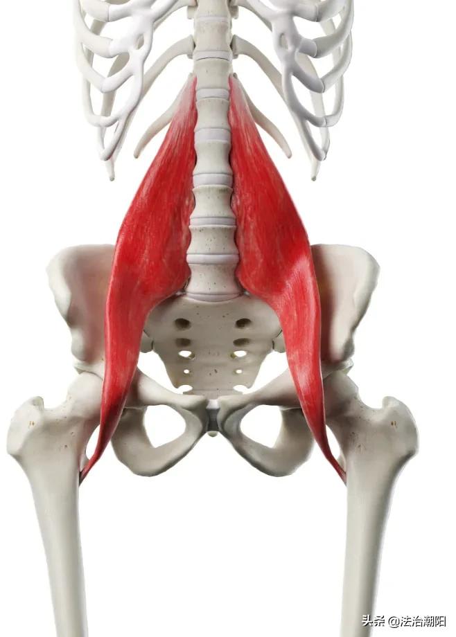 睡硬板床不能治腰椎间盘突出！3个小误会一次说清