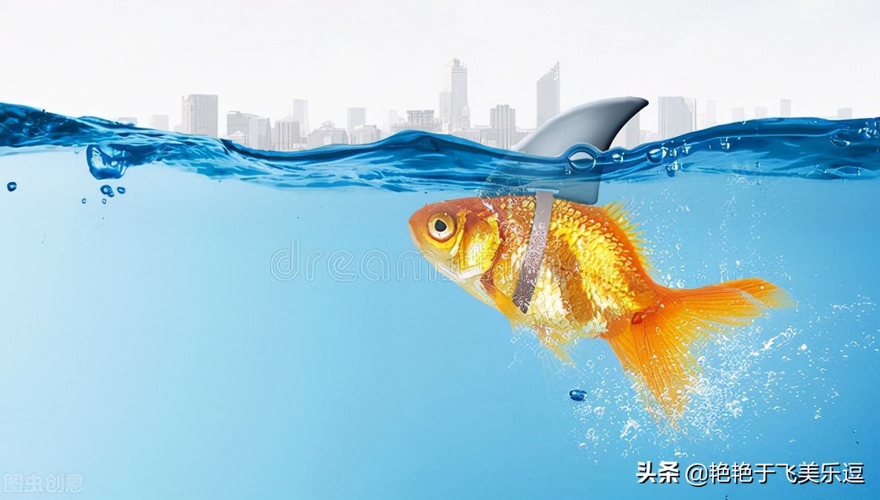 有趣的动物园作文400字以上,我家的动物园关于动物优秀作文