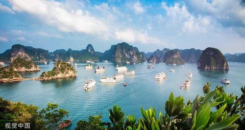 越南五年探亲签证如何办理,先马后看是什么意思