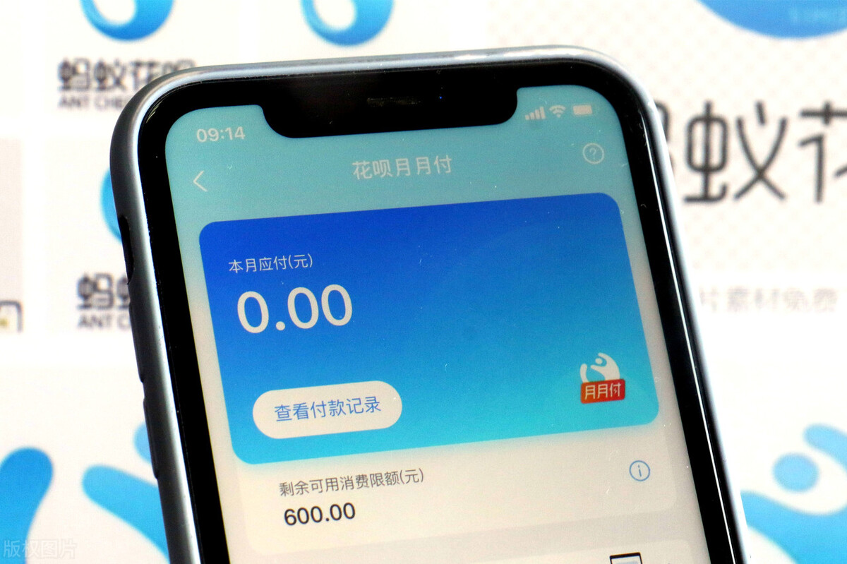 买房贷款征信被禁入怎么办,买房打征信什么情况会不通过