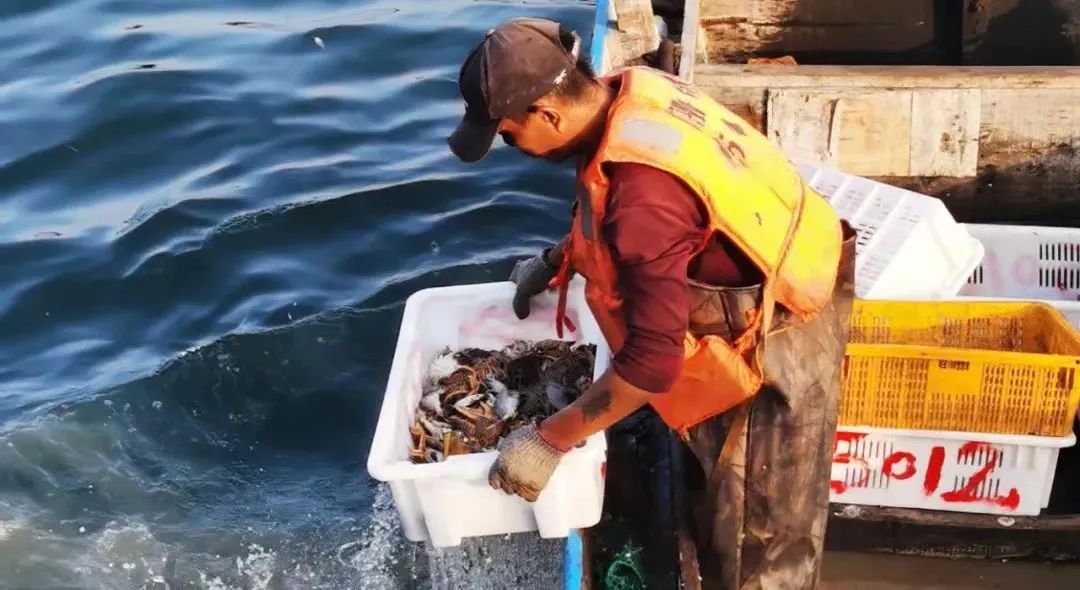 鎶ュ悕鎶栭煶鐢靛晢娲诲姩,鎶ュ悕鎶栭煶鐢靛晢瀹樻柟娲诲姩濂藉