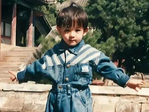 娜扎蒋欣,蒋欣和古力娜扎谁的名气高