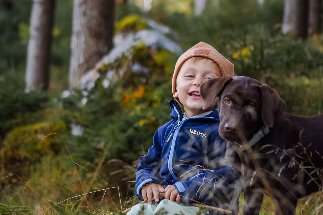适合家养的最好养的小型宠物狗,最适合儿童饲养的十种宠物狗一览