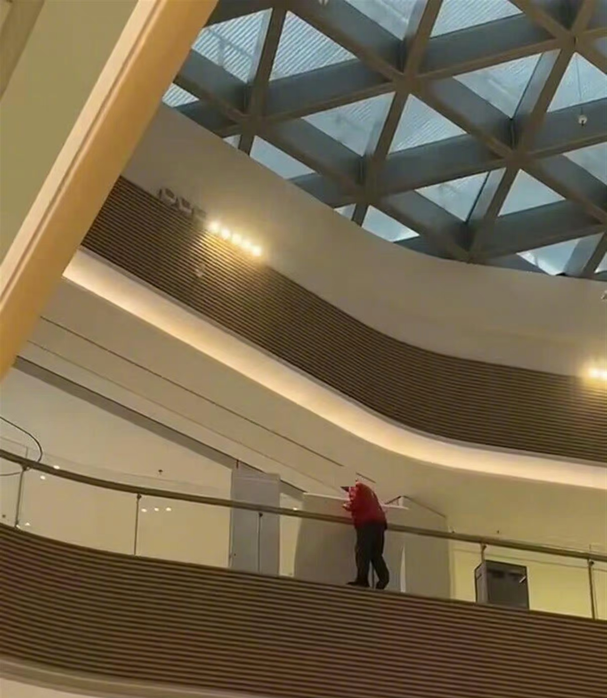 上海一男子商场坠亡砸中女子,上海一男子坠亡砸中女子