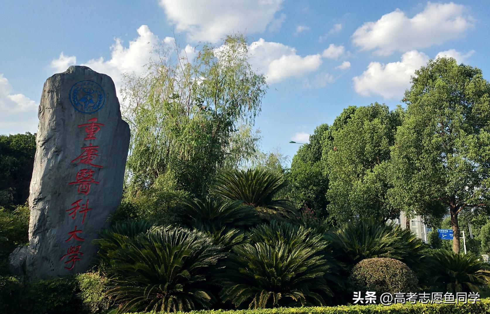 4所军医大学哪所最好,四所顶尖中医药大学