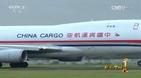 真实改编比恐怖片还恐怖,真实事件改编电影恐怖片有哪些