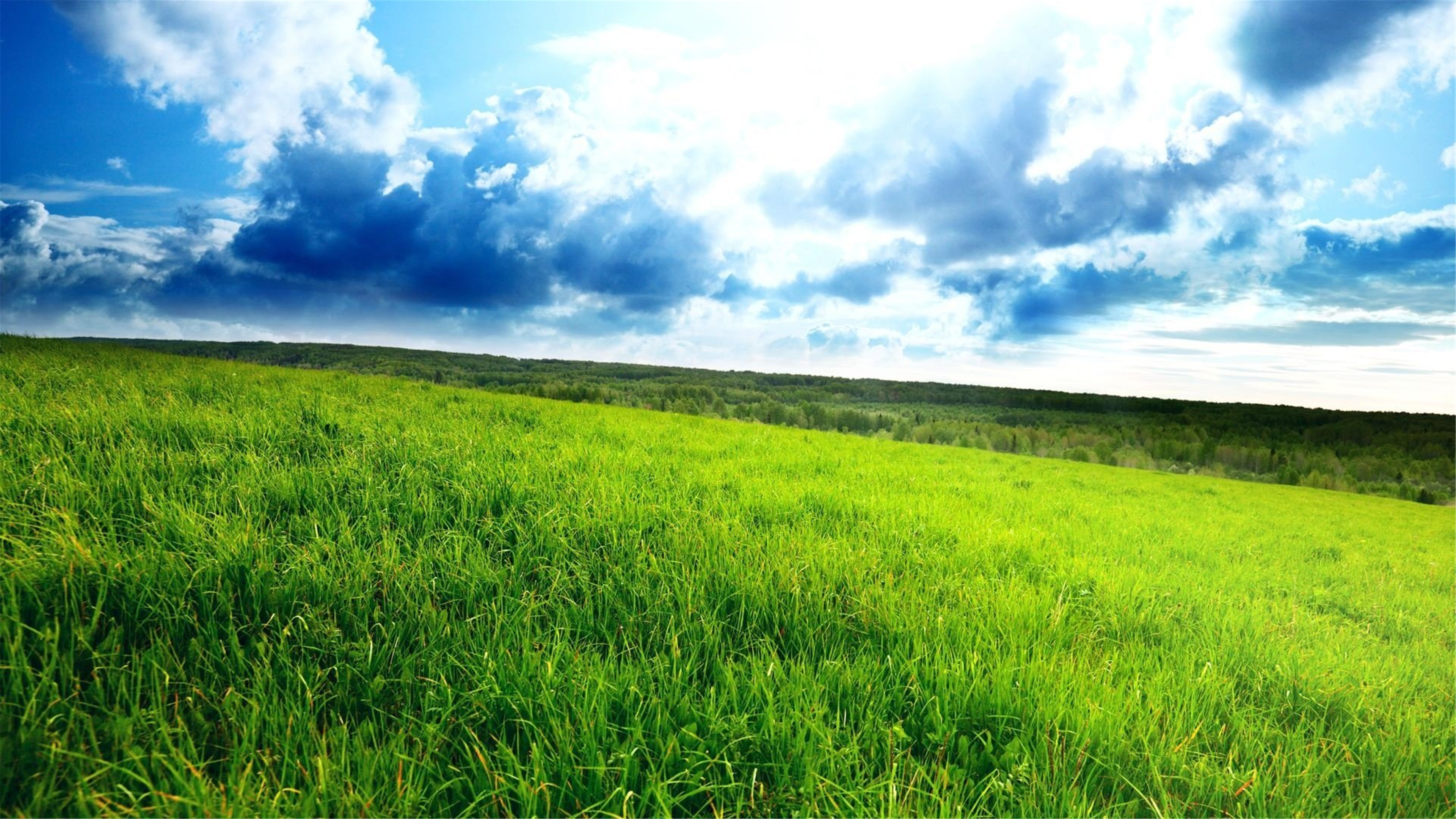 高清壁纸青青草原3840×2160