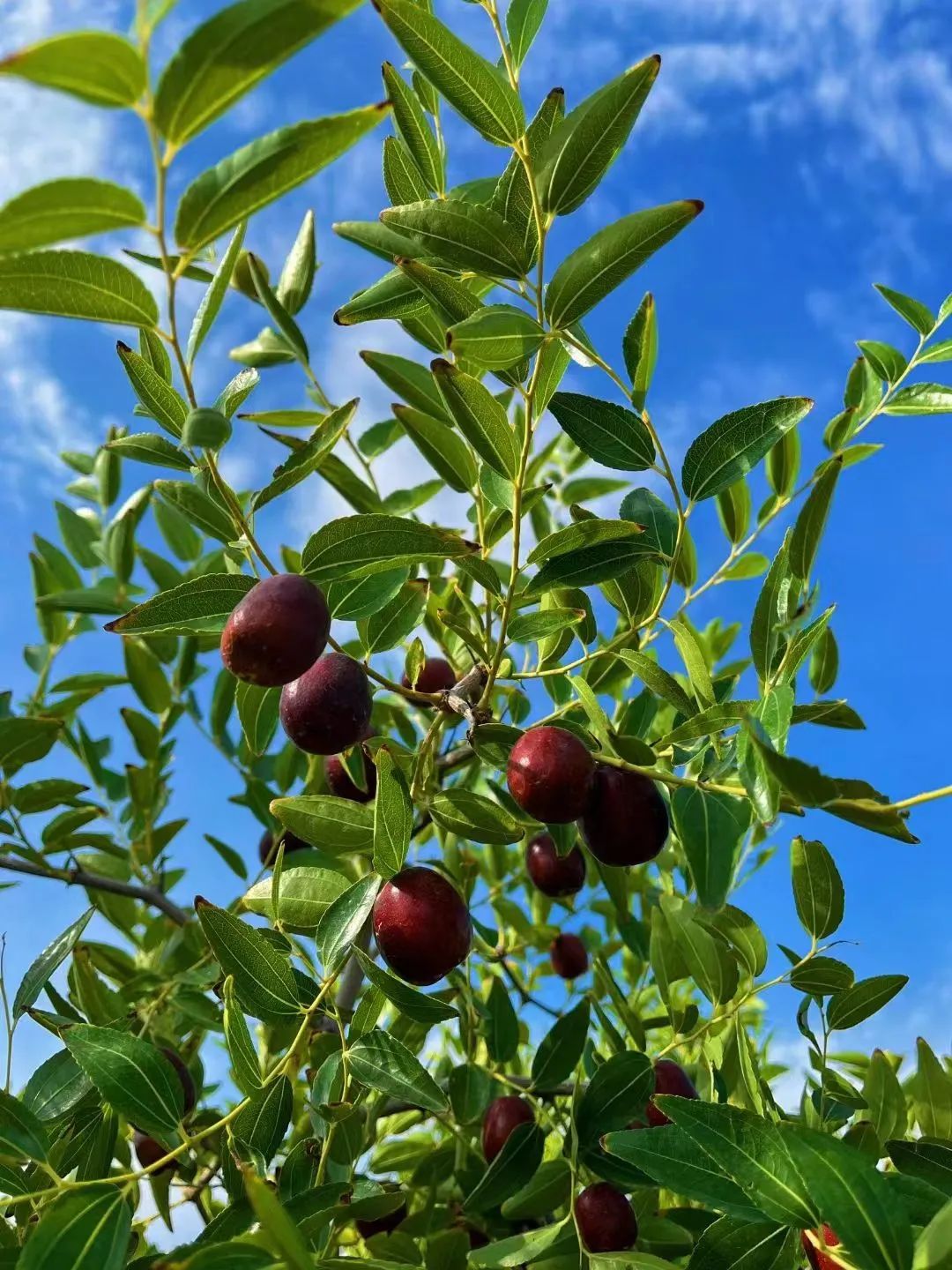 东西湖这家公司产的____，你肯定吃过！