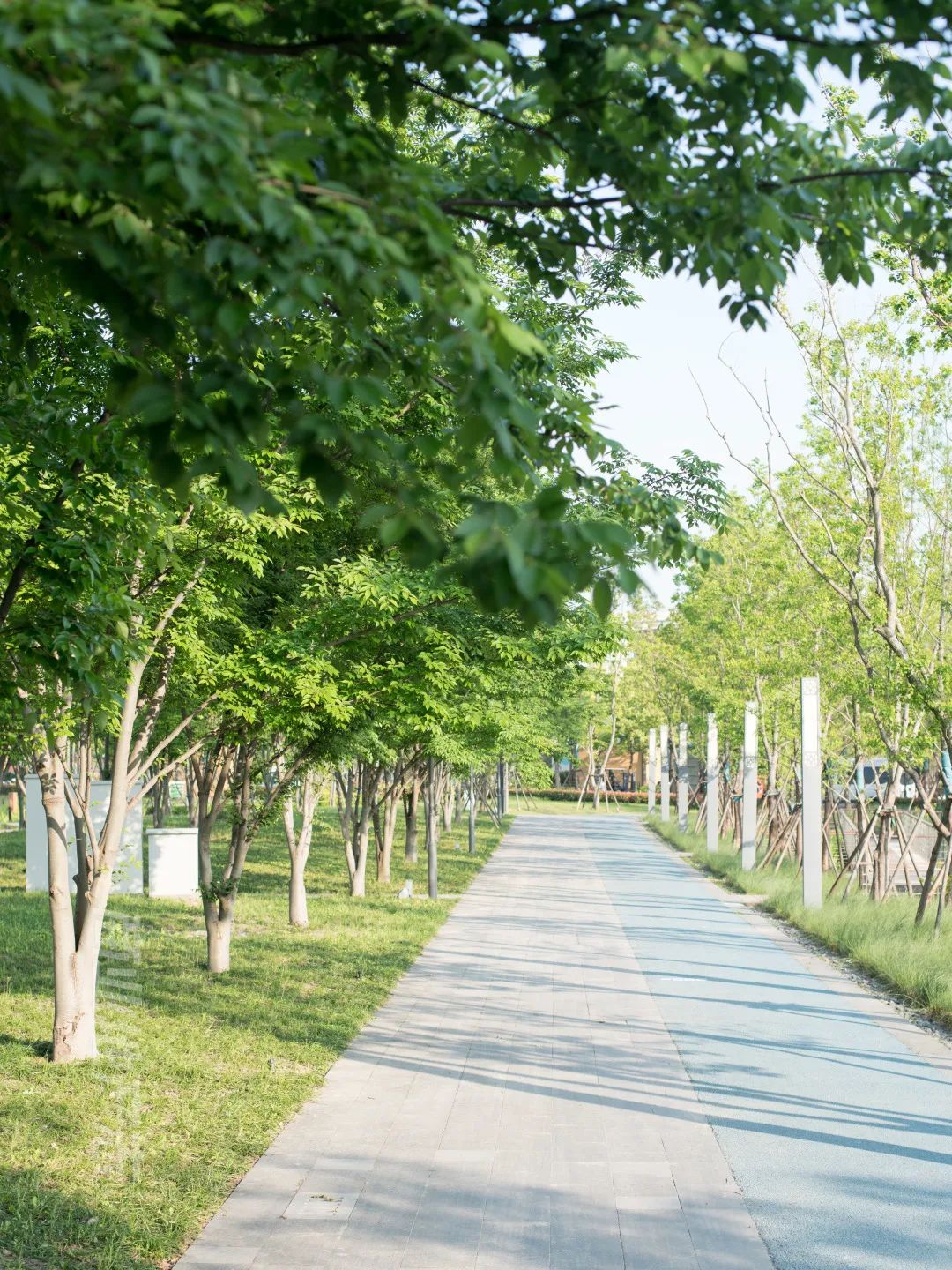 CRR百图斩|公园里的新天地:上海蟠龙天地