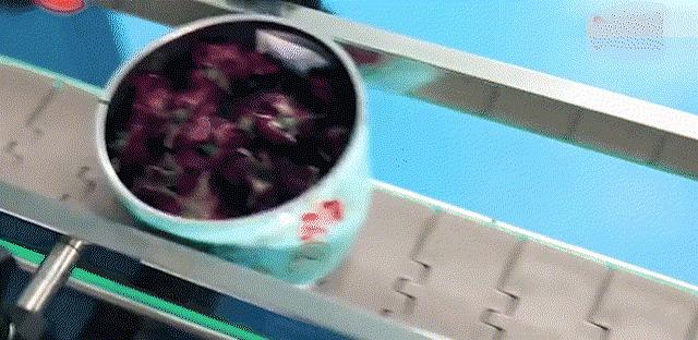 山东省平阴县玫瑰花海,平阴玫瑰万亩花海花期