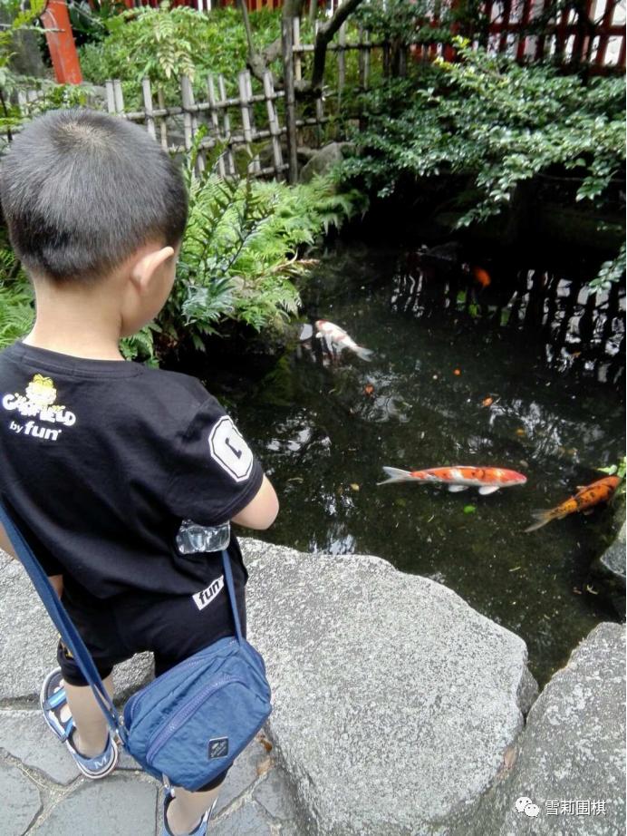 鏃ユ湰绂忓唸閫涜,鍦ㄦ棩鏈鍐堝競閫涜