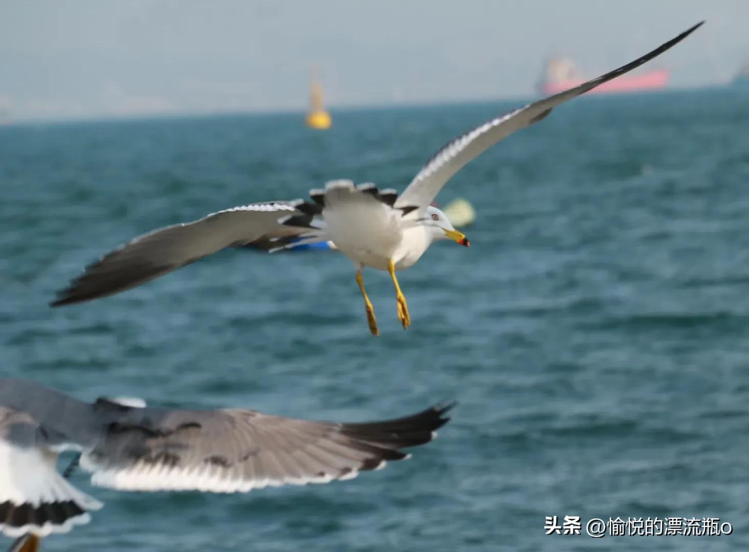 如何修补很小的衣服破洞,怎样修补衣服破洞最好