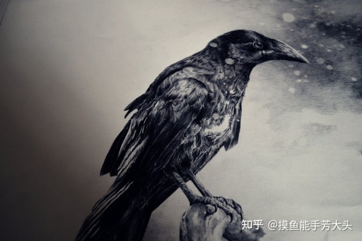 你知道的最震惊的冷知识是什么？