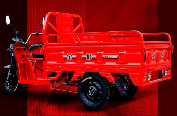 金彭全封闭最大尺寸电动三轮车,金彭电动三轮车载重多少公斤