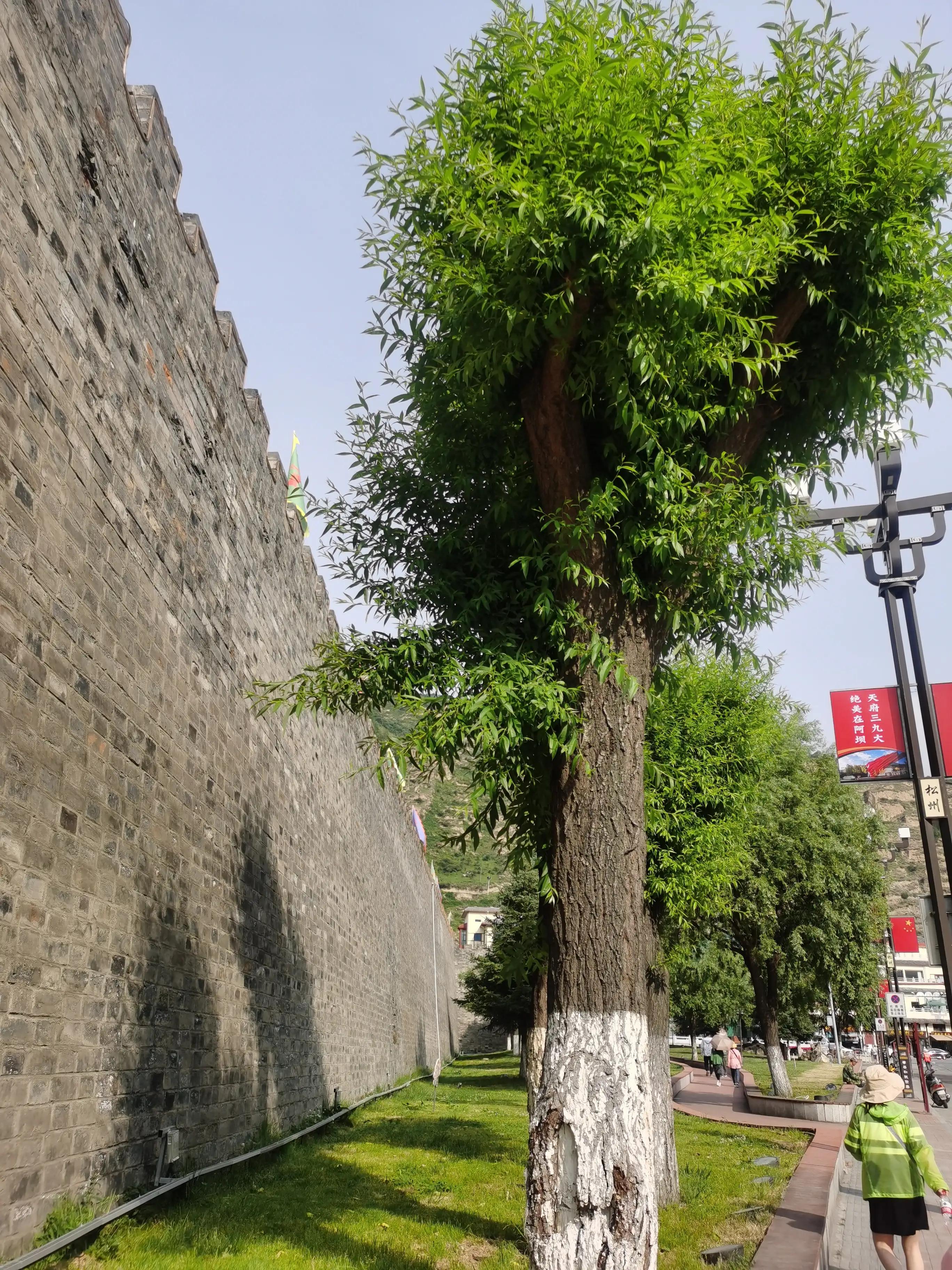 古城松潘的护肤品,松潘古城