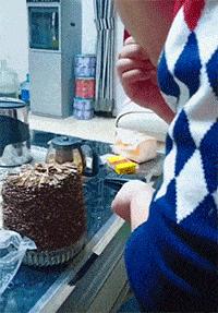 神回复：老鼠贴粘到的，吃了不会犯法吧？网友：自首，争取死缓