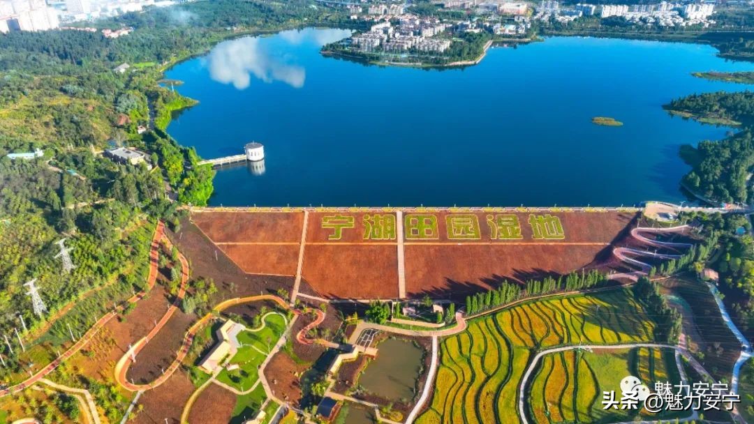 鐖变笂杩欒瘲鎰忕殑鐢熸椿,鐖变笂杩欒瘲鎯呯敾鎰忕殑鐢熸椿