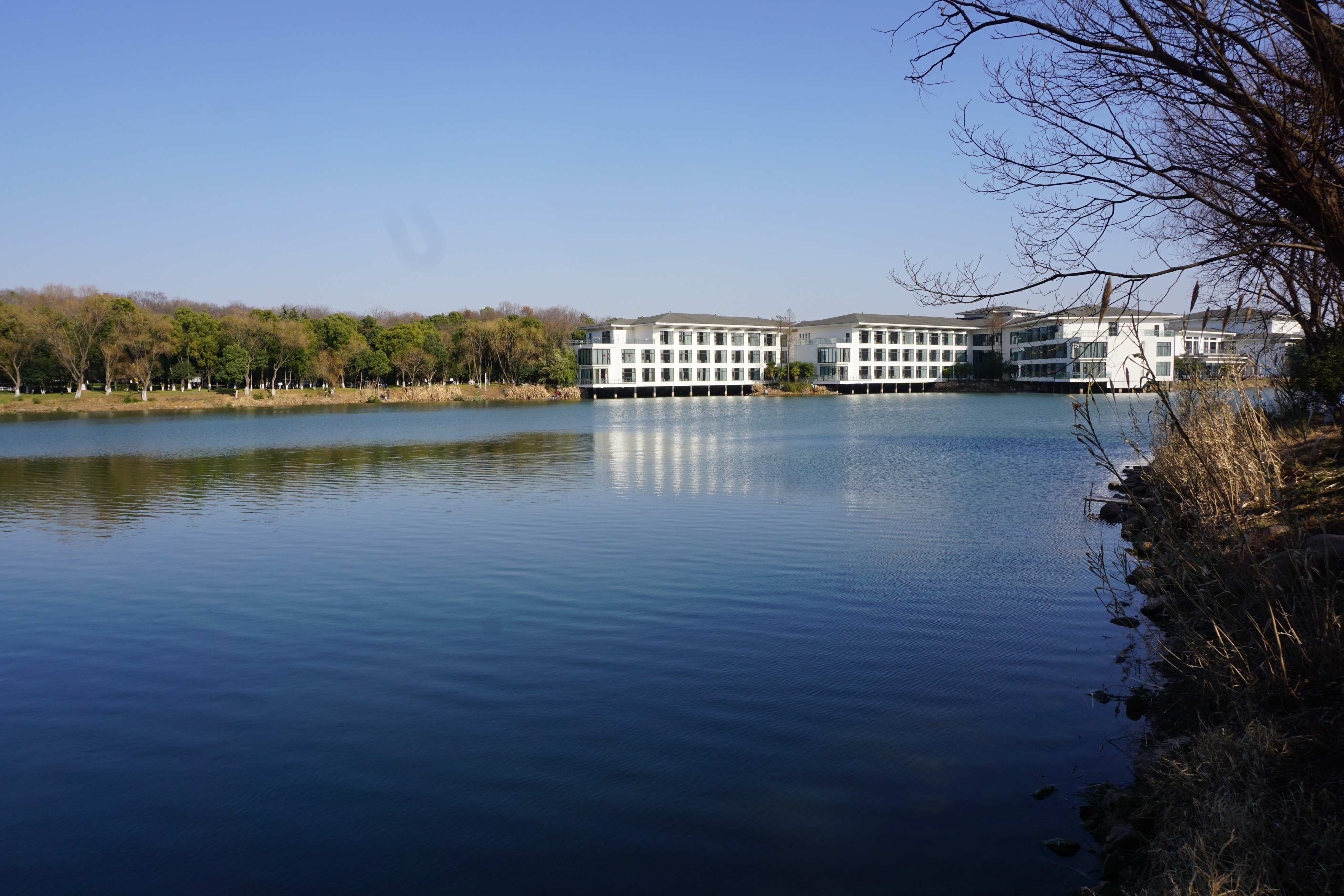 南京人看杭州,南京紫金山庄在哪里