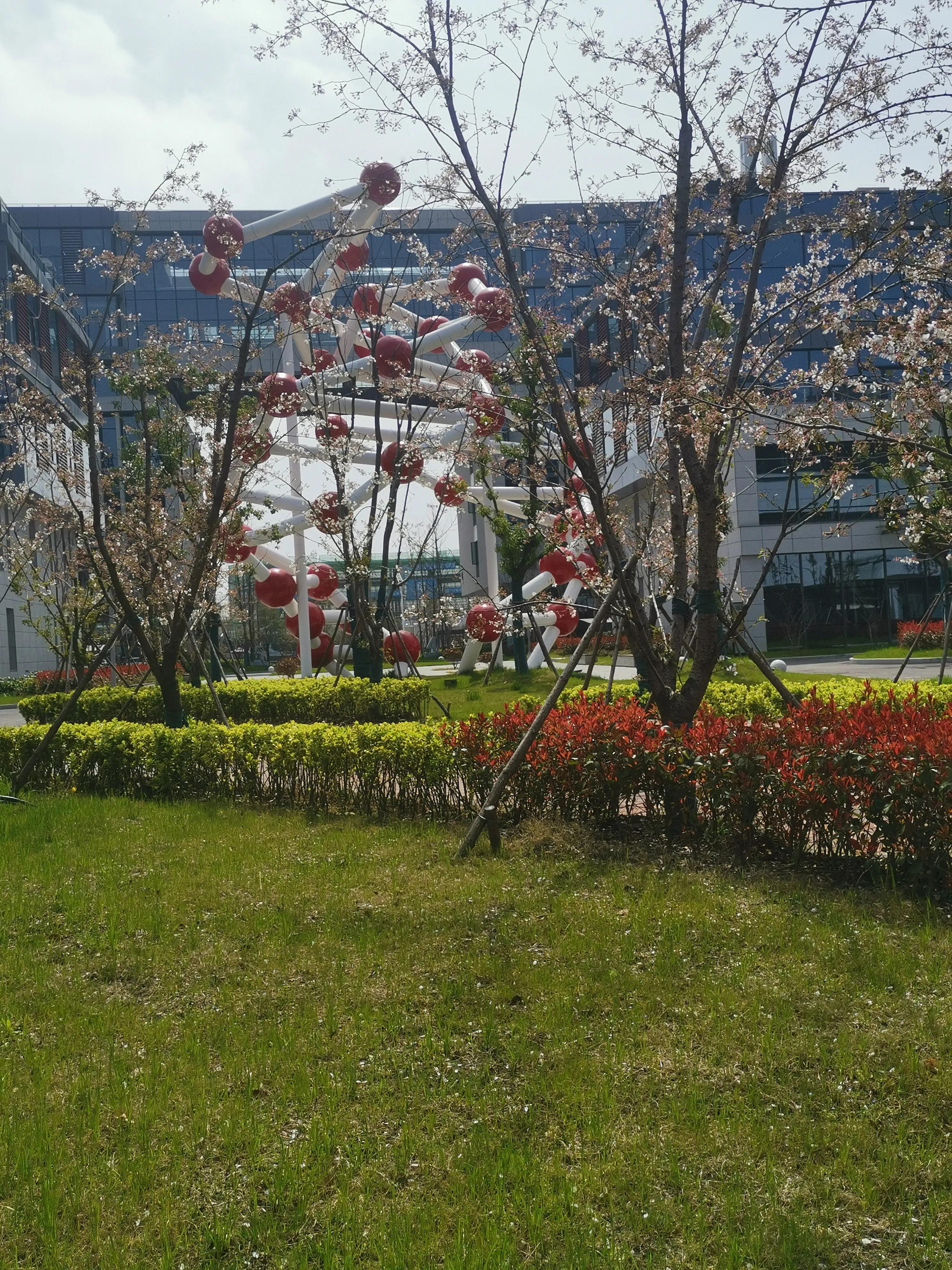 安徽皖北如何发展,安徽皖北农村变化