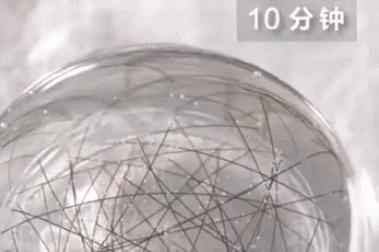 看起来鸡肋实则好用的家电,最不值得购买的四种家电