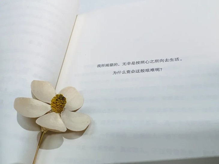 村上春树抚慰浮躁的书籍,村上春树人生低谷的时候不要灰心