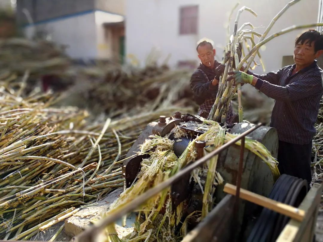 从民宿到整村运营,从民宿到民宿集群