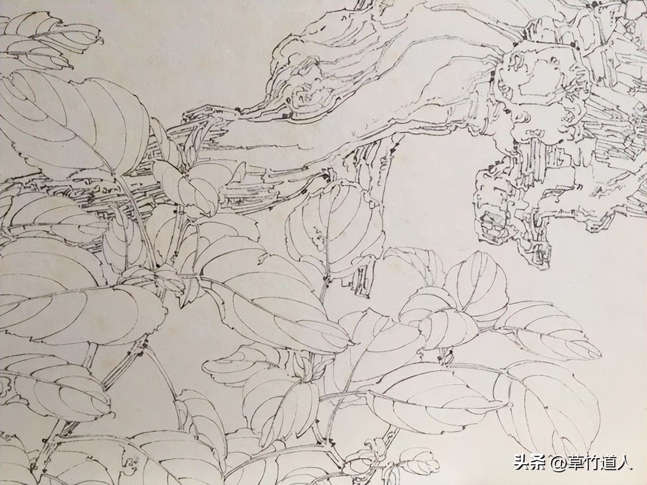 绘画艺术形象及其审美意义,中国绘画的审美特点4字