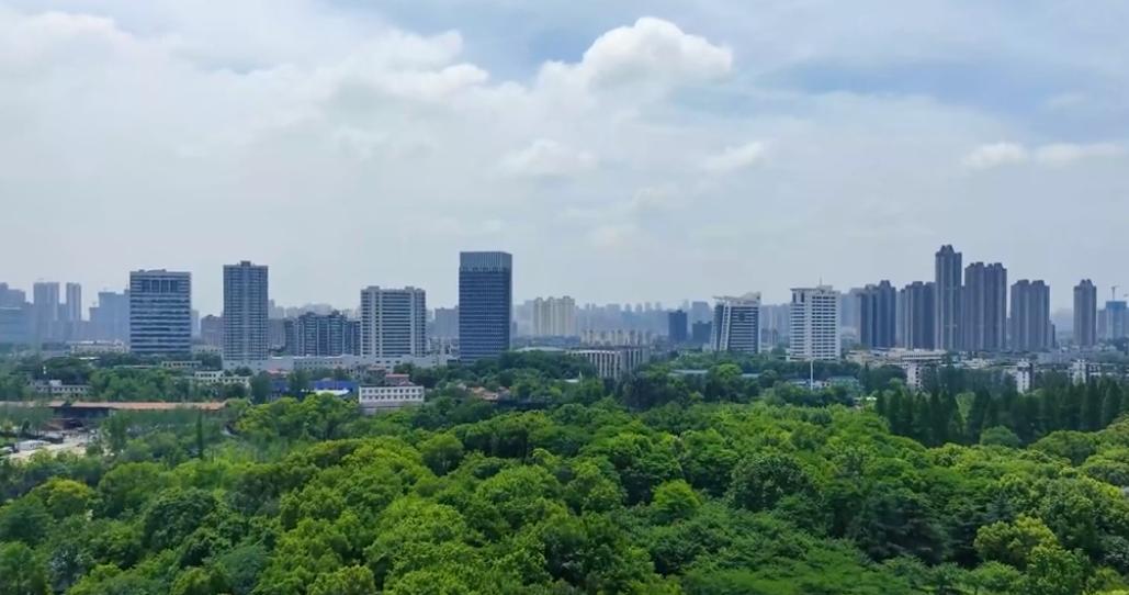 武汉青山老工业基地,武汉青山区重点工业区