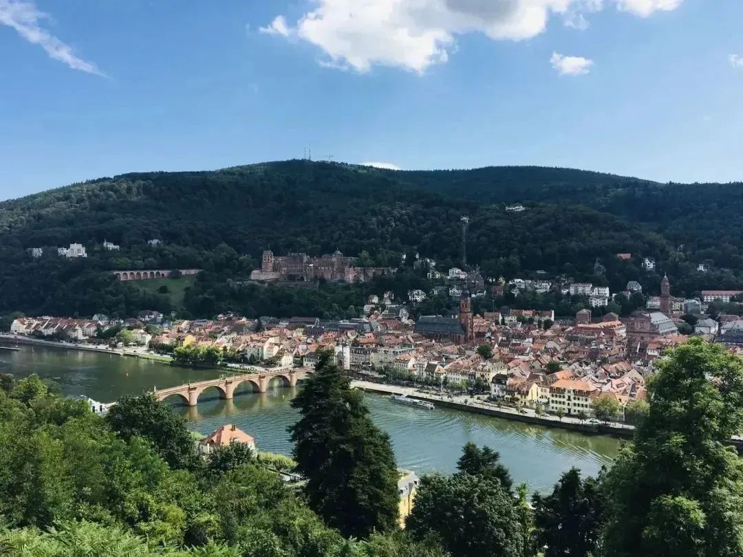 法定代表人变更为什么非要调解,法定代表人如何自行申请变更