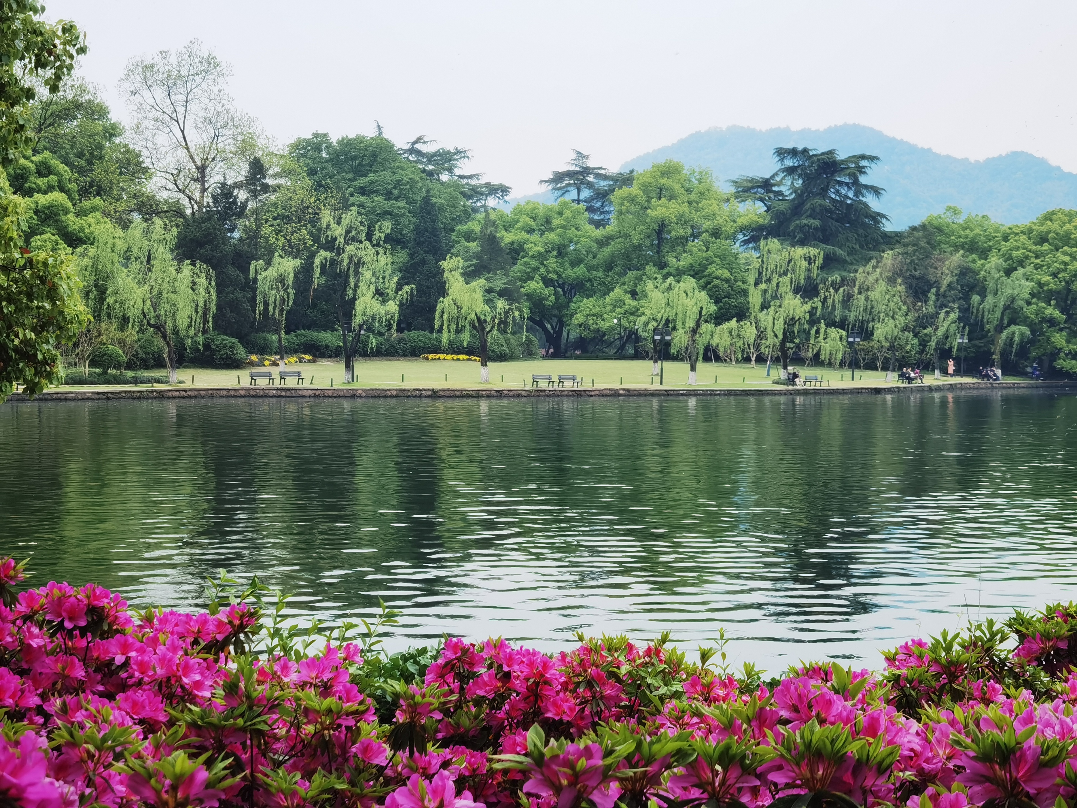 西湖十景苏堤春晓在哪里,西湖十景苏堤春晓的讲解