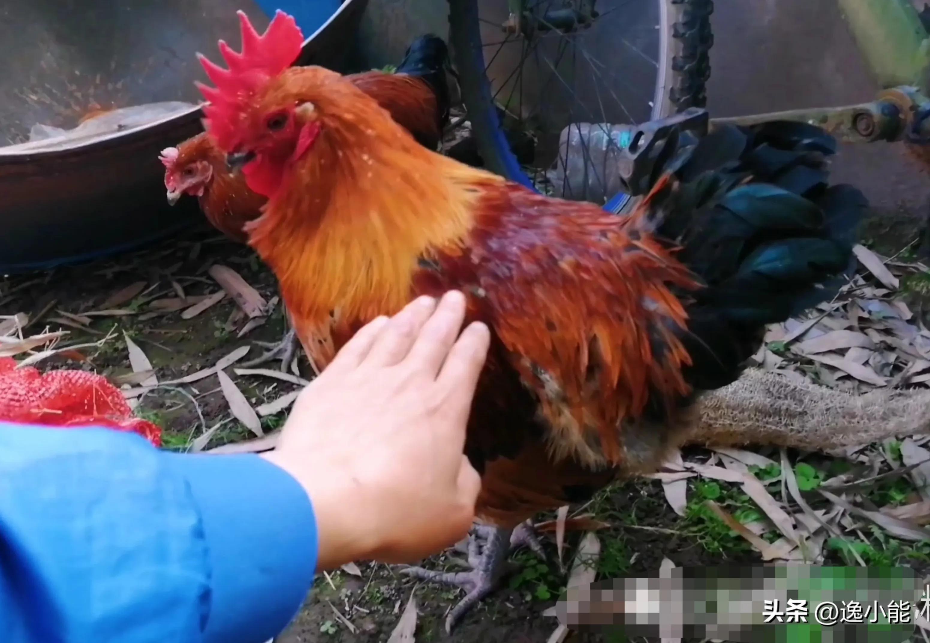 高考出现问题给谁打电话投诉,高考期间太吵举报电话