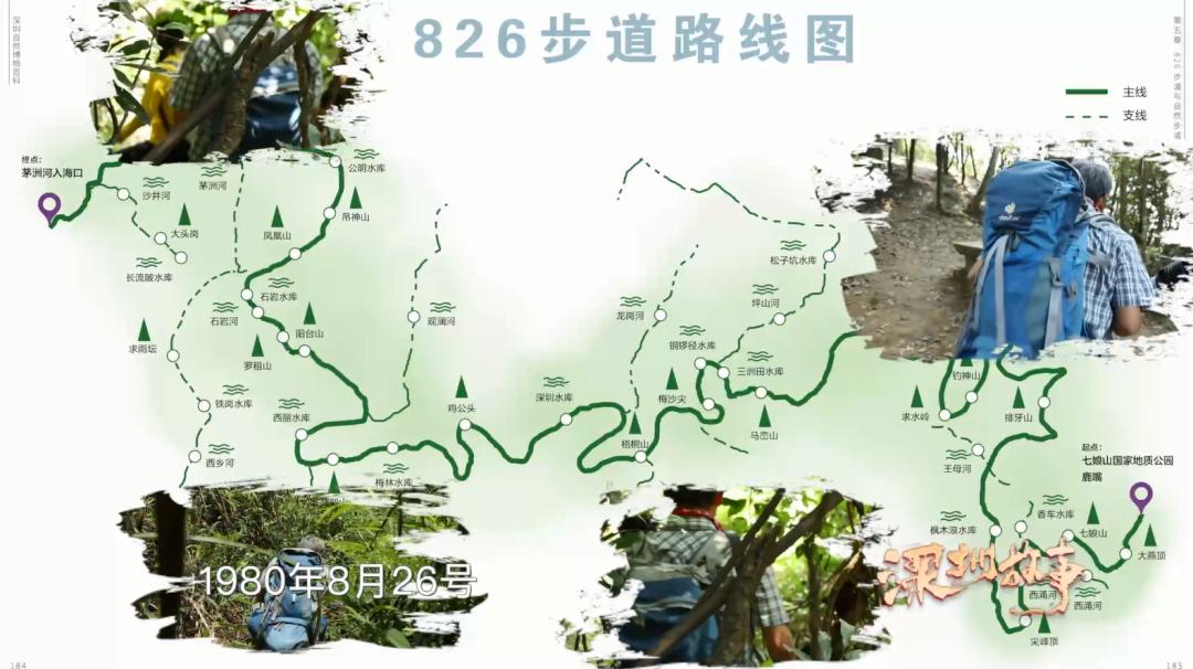 深圳散步步道,深圳生日观景