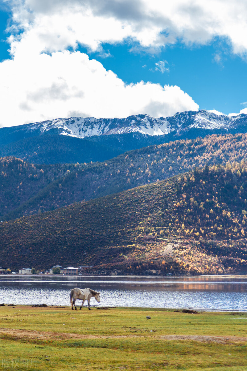 云南香格里拉旅游攻略自由行攻略,云南香格里拉自由行旅游攻略大全