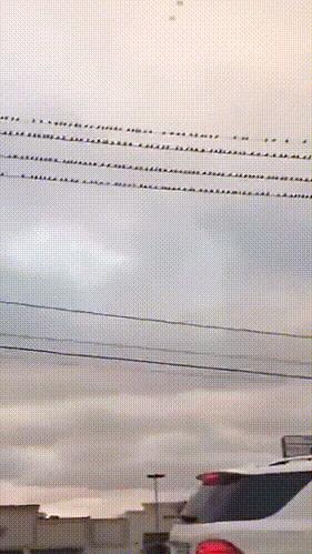 小蛇化身美杜莎,小蛇瞬间变成美杜莎