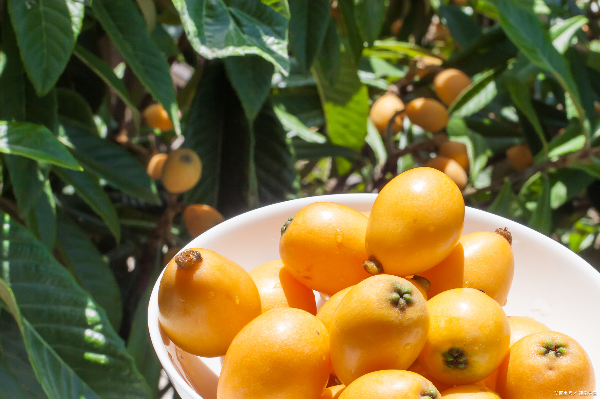 浙江十大手工艺特产必买清单,浙江台州特产有哪些值得带