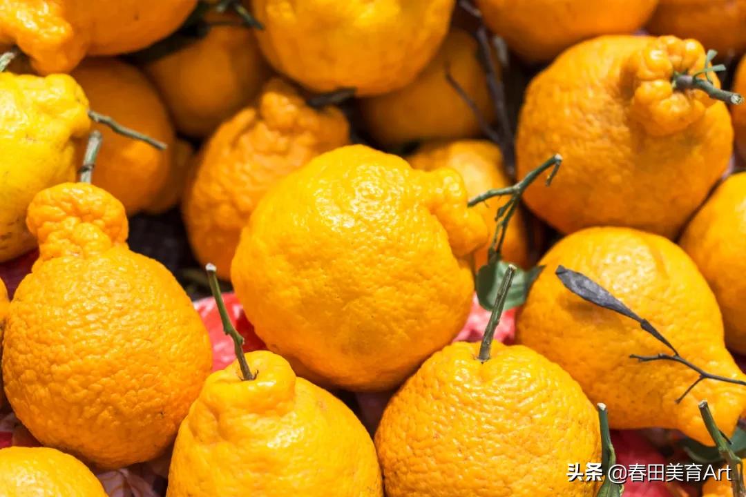 水彩少儿美术课程,少儿美术绘画教学简单零食