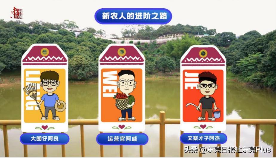 95后“靓仔”辞职创业，喊你一起种荔枝，做个新农人！