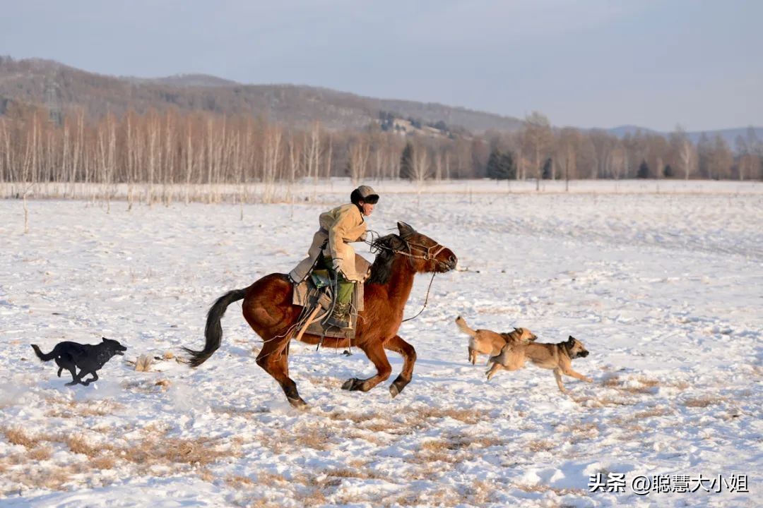 呼伦贝尔号开往雪国的极地列车 (中国高端列车呼伦贝尔号)