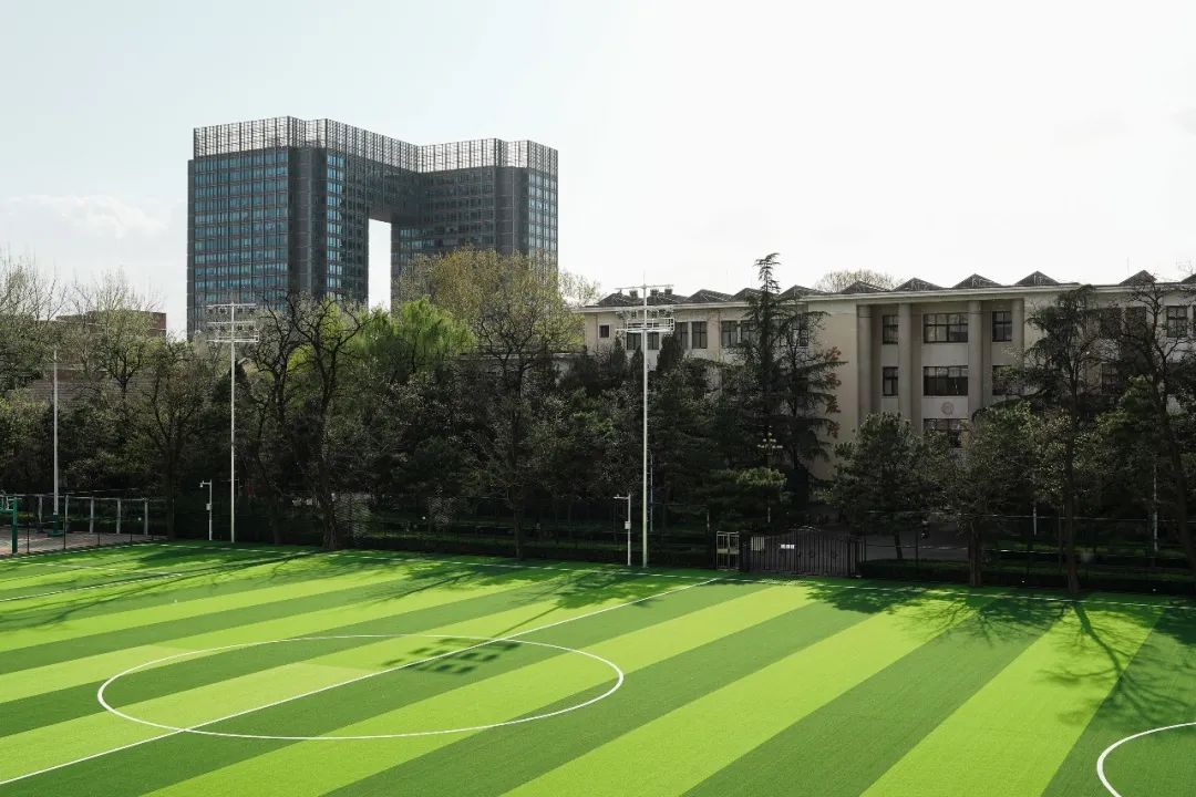 最新足球场改造消息,足球场升级改造