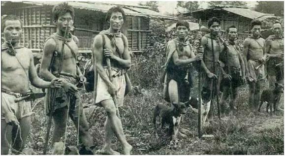 大型狼群围攻黑熊的真实视频,大凉山撵山狗抓野猪