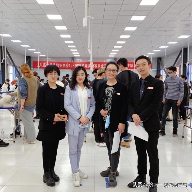 考宠物美容师证需要哪些条件呢,宠物美容师资格证哪个含金量高