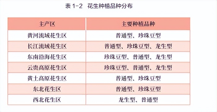 花生期货新手入门,花生期货2210